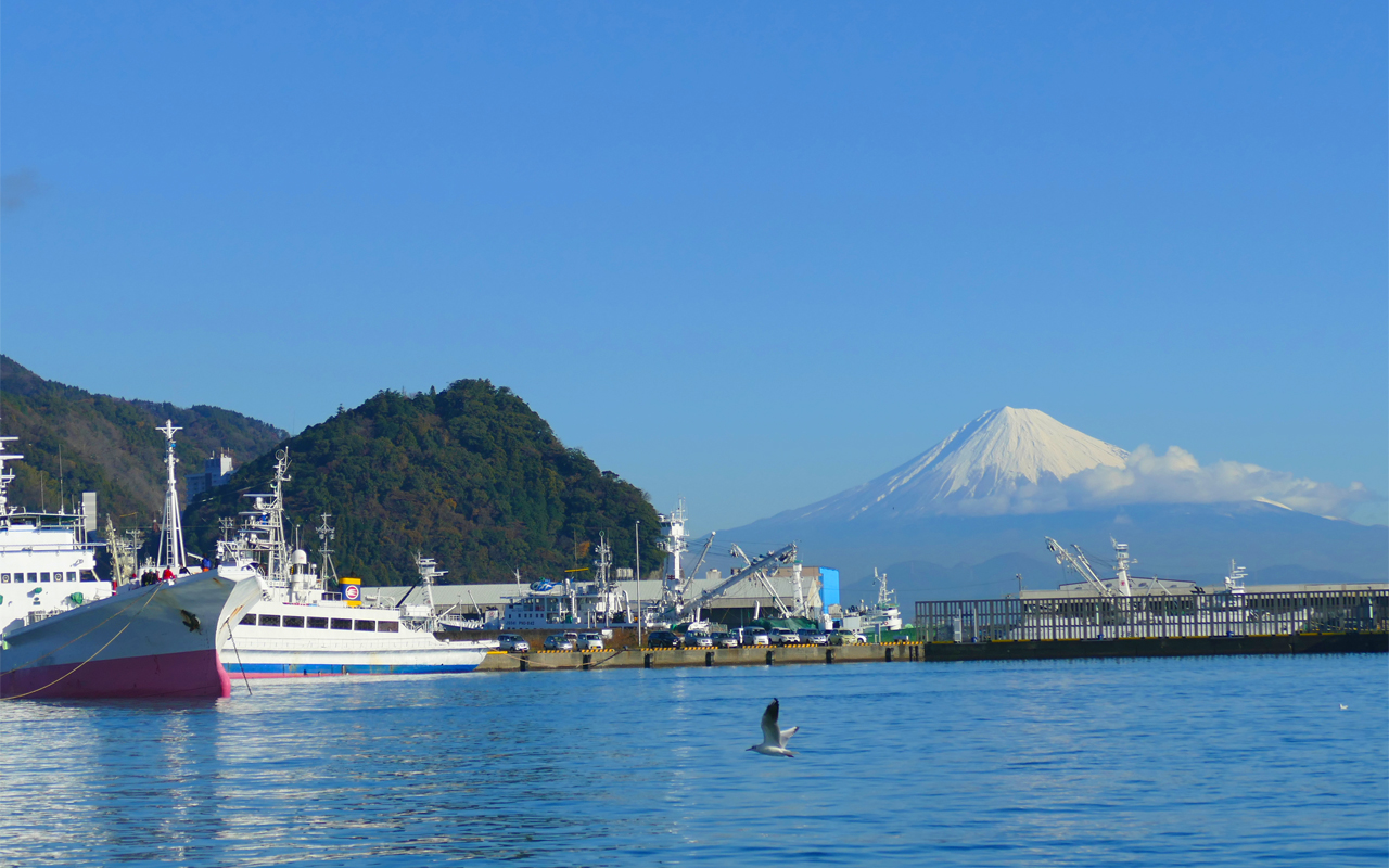 yaizu_mv